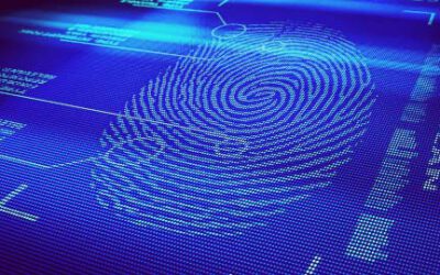 American Express to pilot biometrics at the online checkout